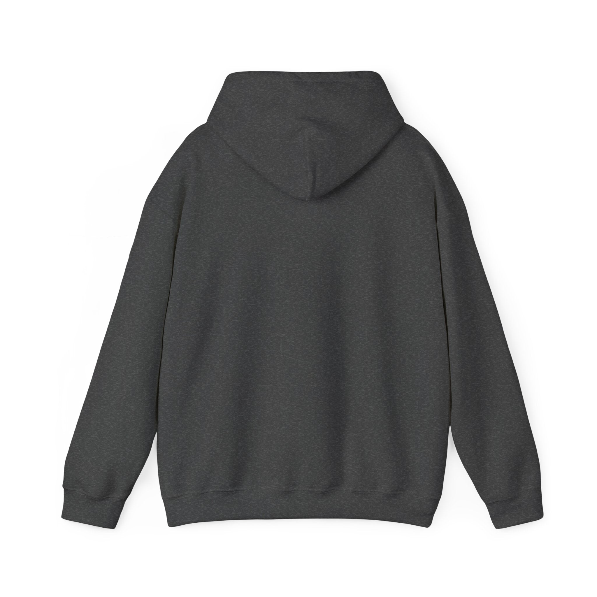 Resilience  Hoodie